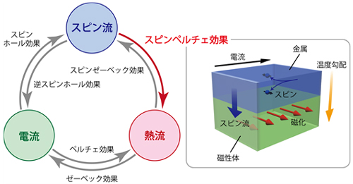 スピン流-熱流-電流変換現象とスピンペルチェ効果