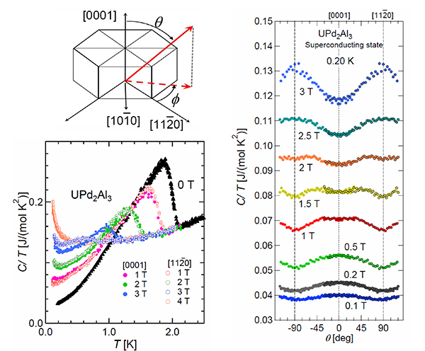 六方晶の結晶構造（左図上）を持つ重い電子系反強磁性超伝導体UPd2Al3における極低温比熱の温度依存性（左図下）、および超伝導状態における各磁場下での比熱の極角(θ)依存性。超伝導ギャップ構造を反映した比熱振動が観測された。