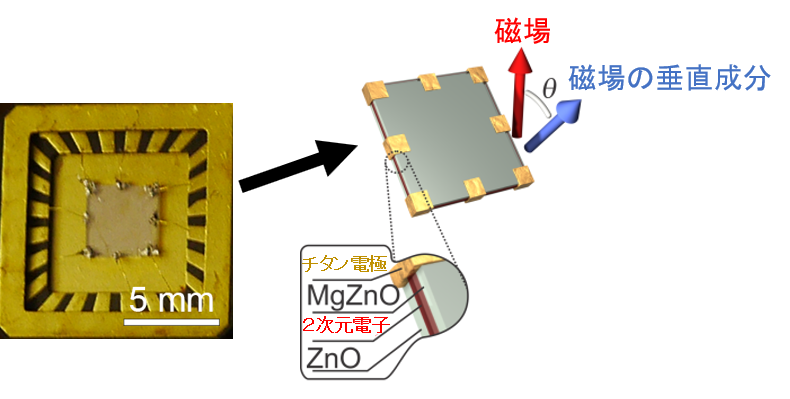 酸化亜鉛試料の写真と構造の模式図