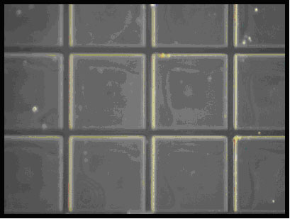 化学リフトオフ後のチップの裏面。1mmｘ1mmチップが化学リフトオフされている。