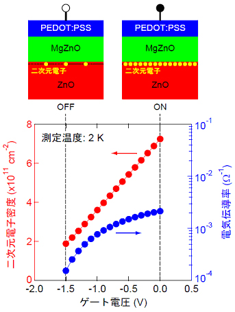 図：（上部）酸化物ヘテロ接合(MgZnO/ZnO)と導電性高分子(PEDOT:PSS)で 作製したされたトランジスターの断面構造図。 ゲート電圧（Schottky電極を通した上部からの電圧）印加によって伝導性制御が 可能であり、2次元電子ガス濃度がOFFの状態で少なく、ON状態で多くできる。（下部）2次元電子密度と電気伝導率のゲート電圧による制御性