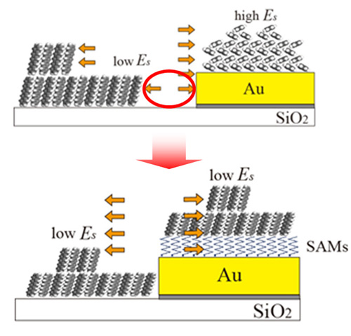 Upper figure: Thin film deposition on a device structure with bare gold electrodes cannot avoid  defect formation around gold (red circle) due to heterogeneous surface energy (Es).   Lower figure: Electrode functionalization by self-assembled monolayers (SAMs)  leads to formation of an ideal organic film structure without forming such defects,  making the Es more uniform.