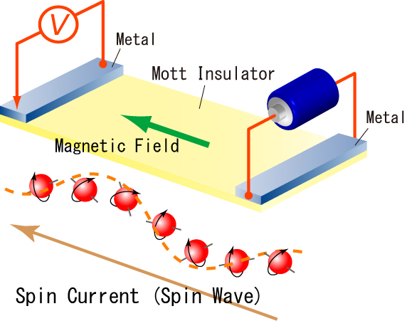 図　モット絶縁体中のスピン流（スピン波）