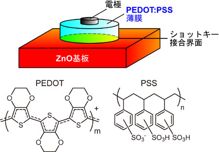 Figure: High-performance ultraviolet photodetector with ZnO and a conducting polymer.