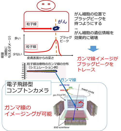 ガンマ線撮像による粒子線治療モニタの概念図