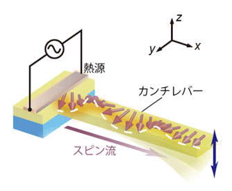 実験に使用した試料と測定セットアップの模式図。