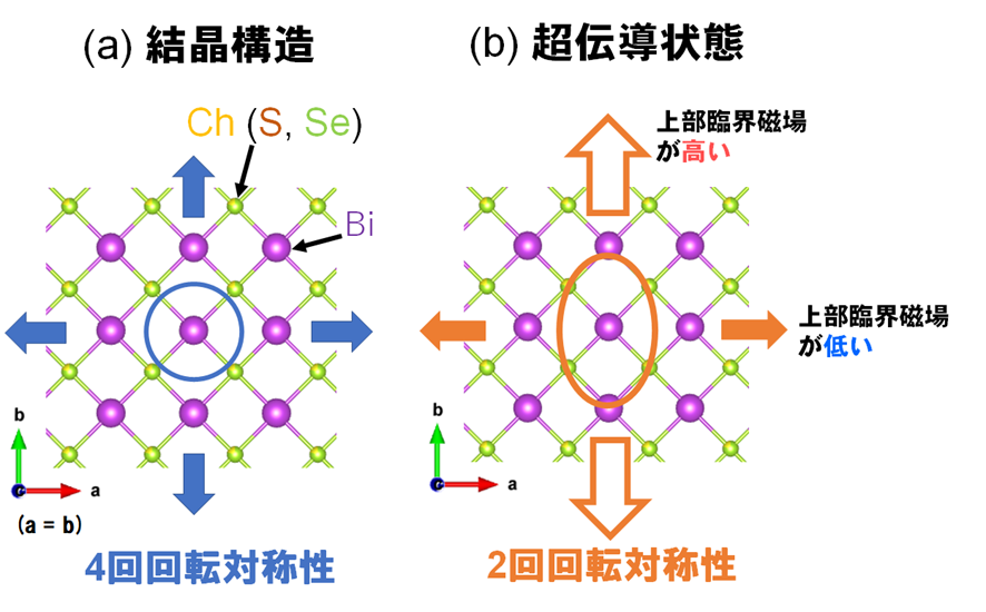 BiCh2超伝導体の結晶構造と超電導状態の異方性