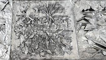 Metal crystal growth as art ‒ work by Miho Matsuoka (Joshibi University of Art and Design student, at the time)