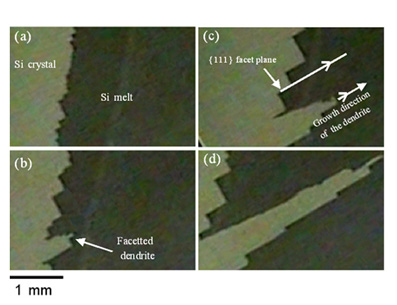 Solid/liquid interface of Si during melt growth.  The shape of the interface changed from (a) to (d) with decreasing melt temperature.  Note that a facetted dendrite grew from the facetted interface.  The direction of growth is parallel to the facet planes on the interface.