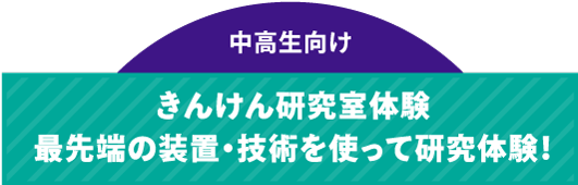 セクション3タイトル_スマホ版