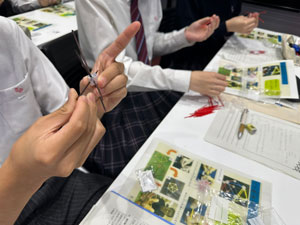 鬼柳 善明（北海道大学・名誉教授）