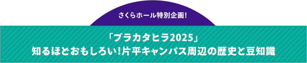 セクション4タイトル